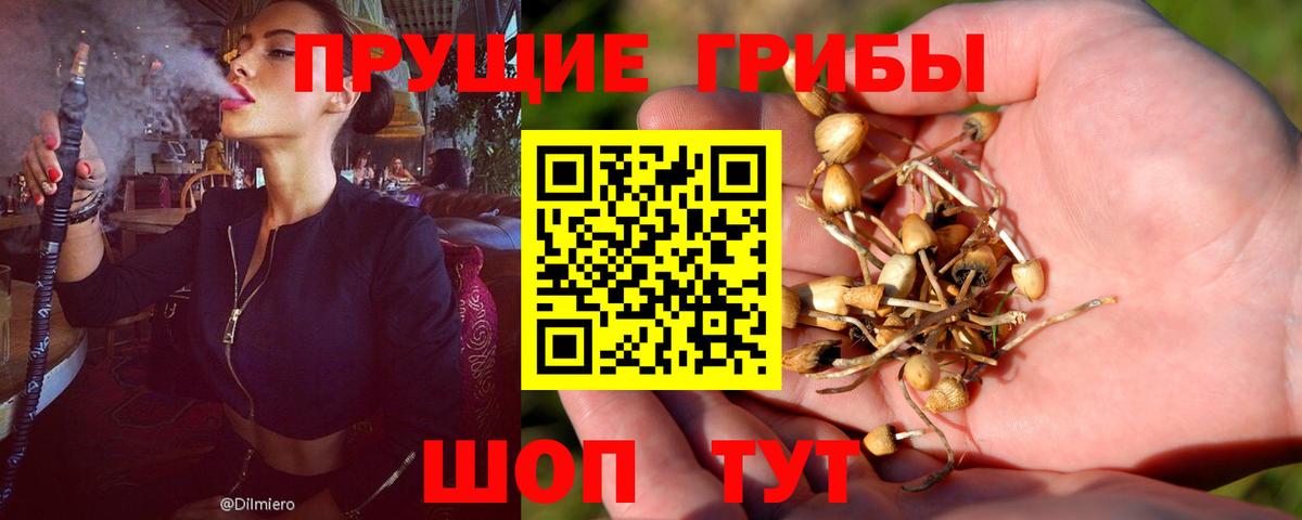 Барнаул  Галлюциногенные грибы прущие грибы  Вход с VPN 